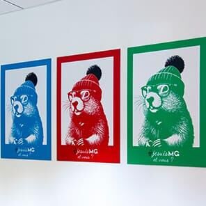 Affiches colorées de marmottes dans un bureau MG