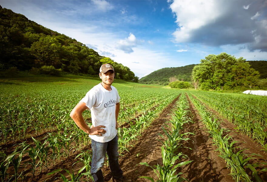 Comptables spécialisés pour les métiers agricole en Savoie, Haute-Savoie, Isère, Rhône, Groupe MG