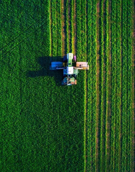 Comptables pour exploitation agricole et GAEC en Savoie, Haute-Savoie, Isère, Rhône, Groupe MG