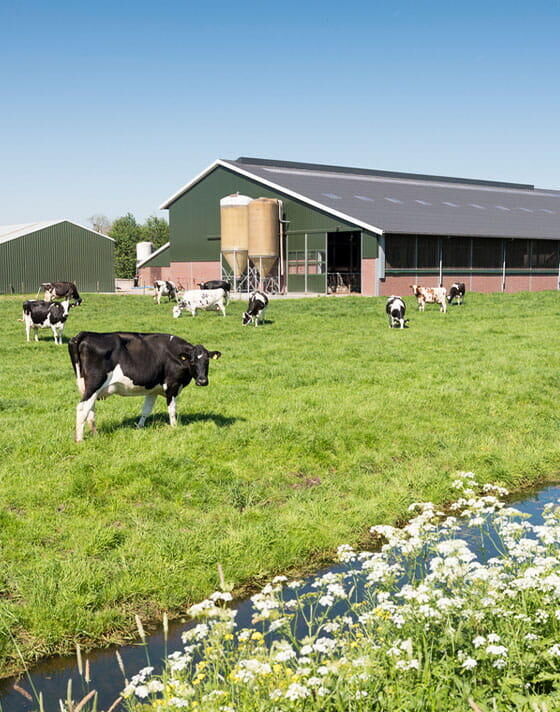 Expert-comptable pour agriculteur en Savoie, Haute-Savoie, Isère, Rhône, Groupe MG